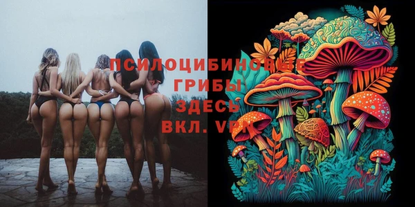 гашик Заволжье
