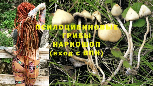 марихуана Гусев
